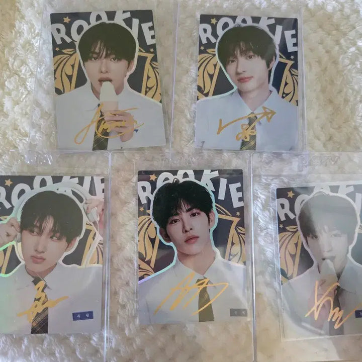 [BUNJANG] Kickflip Tereca Signature Bundle Set / 킥플립 테레카 시그니처 5장 일괄 판매