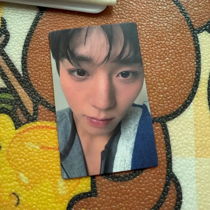 [BUNJANG] Park Jihoon Citer Magazine Photocard / 박지훈 CITER 잡지 포카
