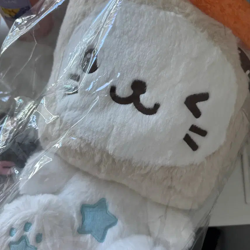 [BUNJANG] 30cm Wish Doll Bubble Cat Yuushi Sealed / 30cm 위시돌 버블냥 유우시 미개봉