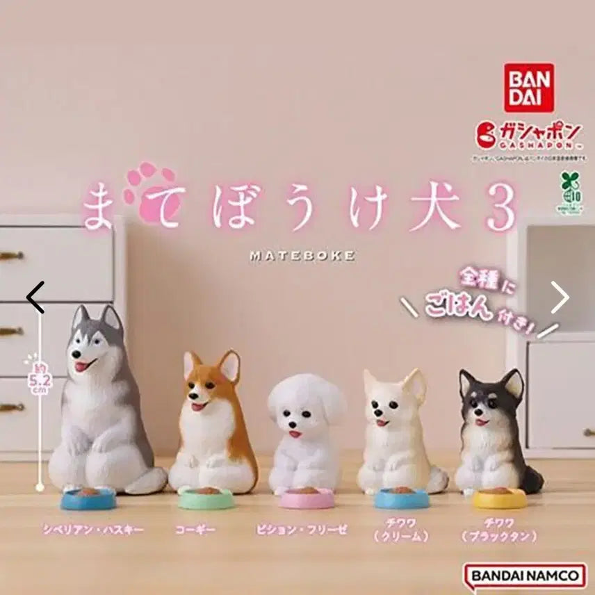 [BUNJANG] Machiboke Dog Series 3 Full Set (5 Types) / 마치보케 강아지 3탄 5종 풀세트 언제오려나