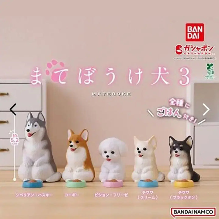 [BUNJANG] Machiboke Dog Series 3 Full Set (5 Types) / 마치보케 강아지 3탄 5종 풀세트 언제오려나
