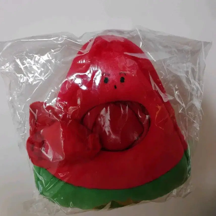 [BUNJANG] NCT Watermelon Doll Clothes / 엔시티 수박 인형옷