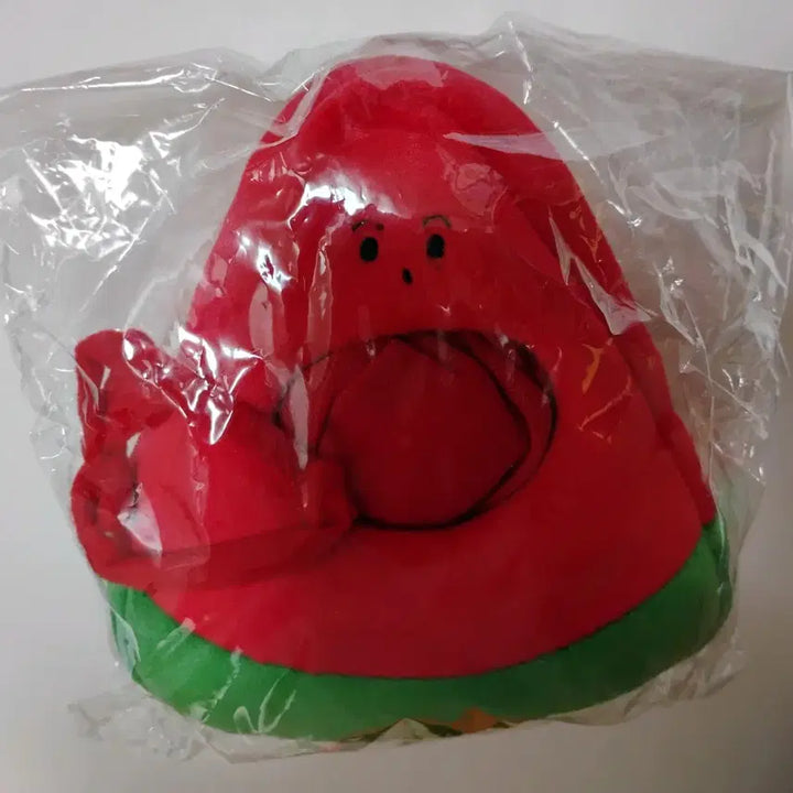 [BUNJANG] NCT Watermelon Doll Clothes / 엔시티 수박 인형옷
