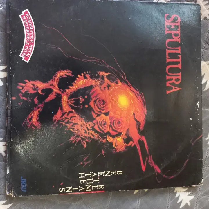 [BUNJANG] Various Artists 20-Record Set - Early Pressings / 메틀 lp판 초판.