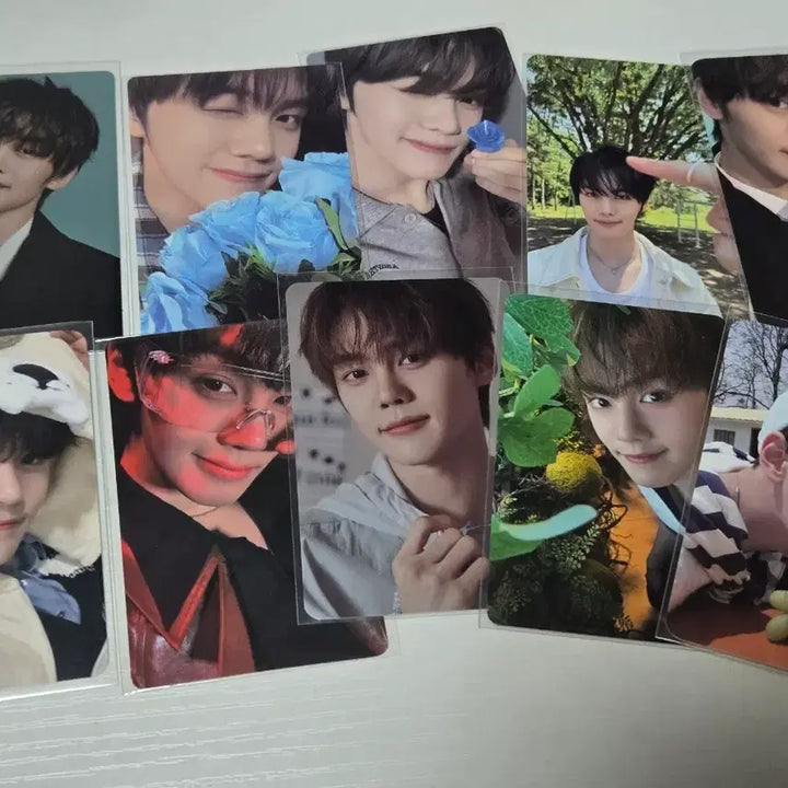 [BUNJANG] ZB1 Kim Gyuvin Photocard and Stickers Bundle Set (Includes Extras) / 제베원 앤더블 김규빈 포카 띠부씰 (일괄)+덤