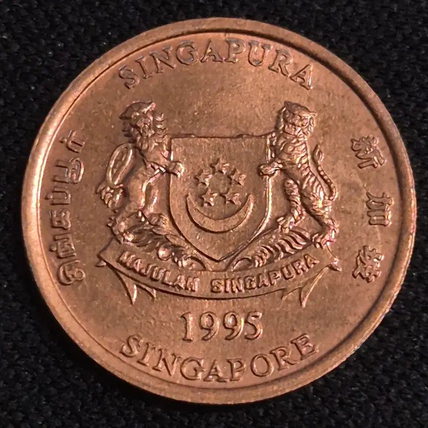 [BUNJANG] 1995 Singapore 1 Cent Coin / 1995년 싱가포르 1센트 동전 [EP. 3392]