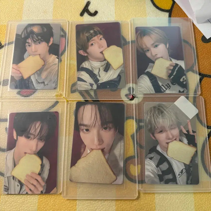 [BUNJANG] TWS Play Hardyizwhi Bread Photocard Bundle Set / 투어스 play hard 이즈위 빵포카  세트 일괄