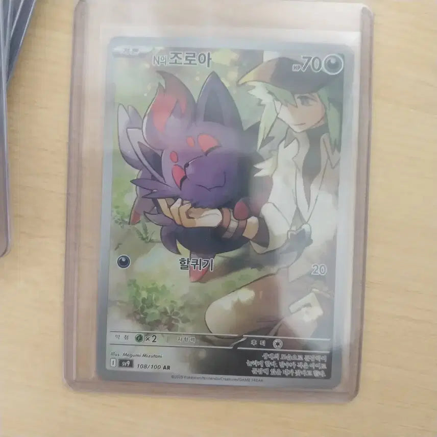 [BUNJANG] Zoroark AR / n의 조로아 ar