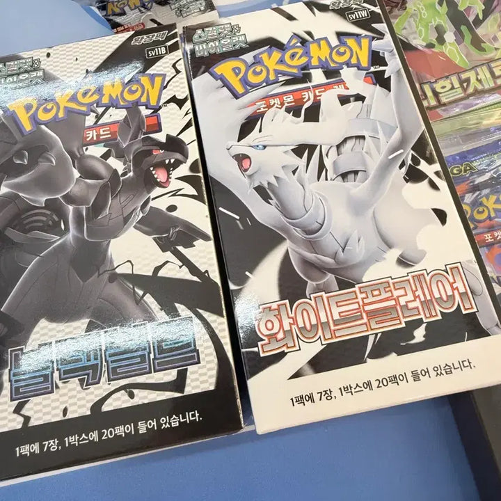 [BUNJANG] Pokemon Card Blastoise ex White Flare ex Special Set / 포켓몬 카드 블랙볼트 화이트플레어 ex 스페셜 세트