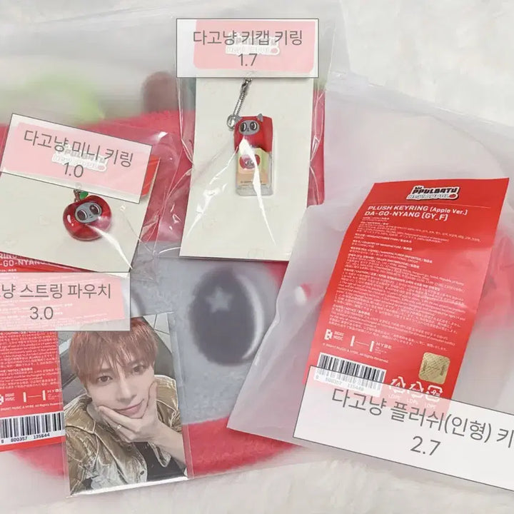 [BUNJANG] AppleBatu Dagonyang Plush, Keychain, Keycap, Pouch, Mini Keychain, Taeyeon Photocard Bundle Set / 애뿔바투 다고냥SET (특전 포카, 키링, 키캡, 파우치, 미니 키링)
