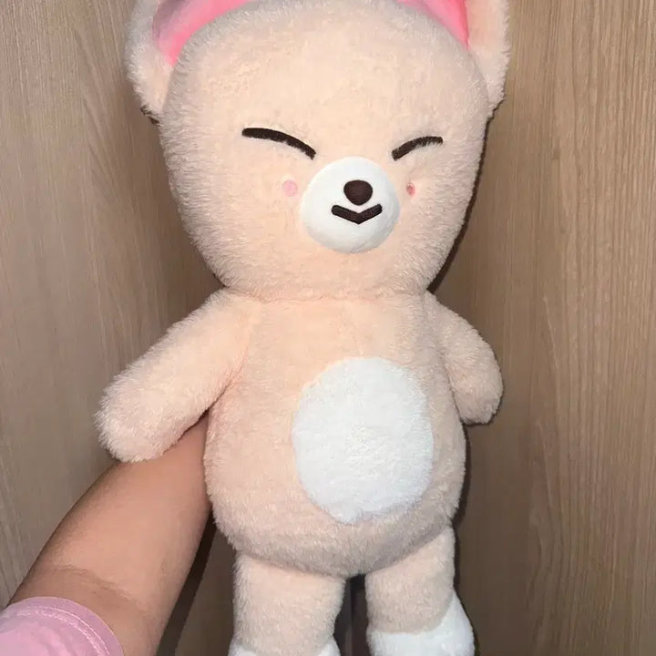 [SOLD OUT] 스트레이키즈 스키주 폭시니 테디베어 양도 스키즈 아이엔 straykids
