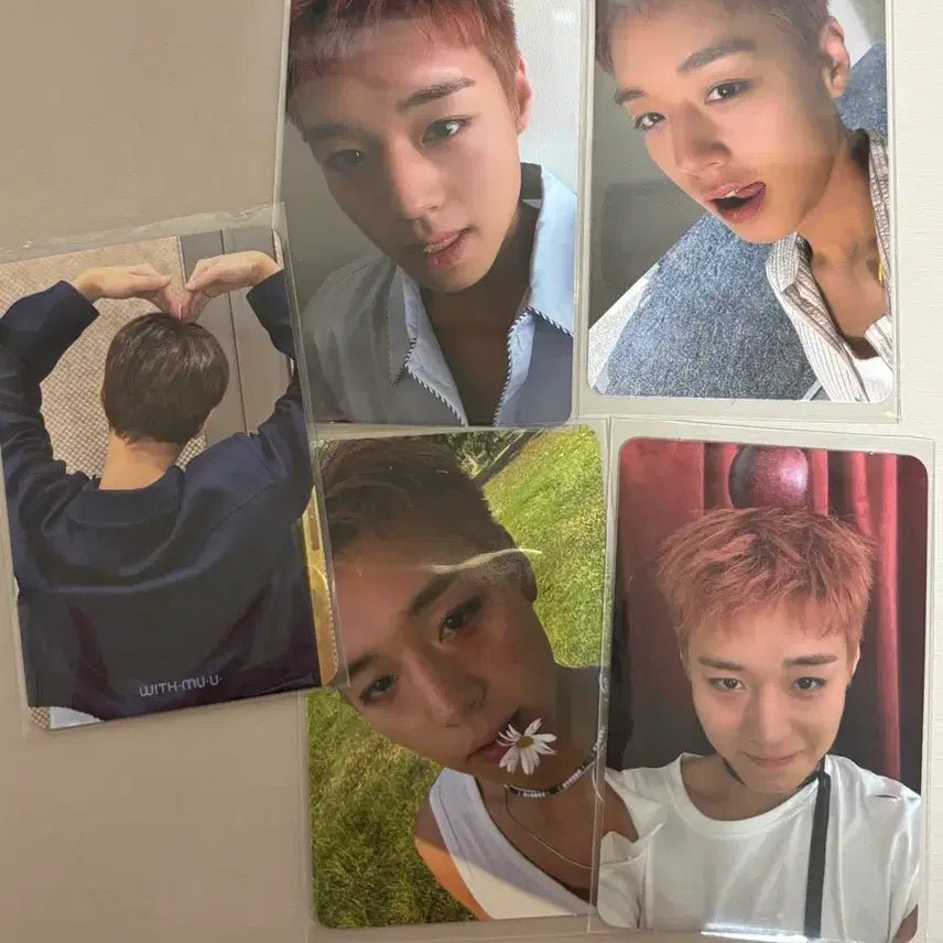 [BUNJANG] Park Jihoon Album Photocard / 박지훈 앨범 포카