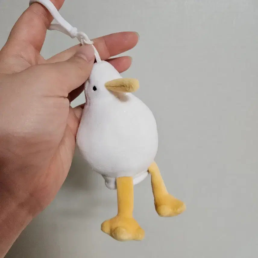 [BUNJANG] Kiwi Bird Plush Toy (Limited Event Item) / (타제품 구매자 한정 이벤트) 키위새 인형