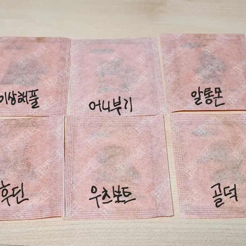 [BUNJANG] Pokemon Artwork Ttibusil Stickers (Bulbasaur/Ivysaur/Venusaur/Victreebel/Golduck/Alakazam) / 포켓몬 아트워크 띠부씰 [이상해풀/알통몬/우츠보트/골덕/후딘]