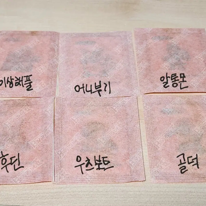 [BUNJANG] Pokemon Artwork Ttibusil Stickers (Bulbasaur/Ivysaur/Venusaur/Victreebel/Golduck/Alakazam) / 포켓몬 아트워크 띠부씰 [이상해풀/알통몬/우츠보트/골덕/후딘]