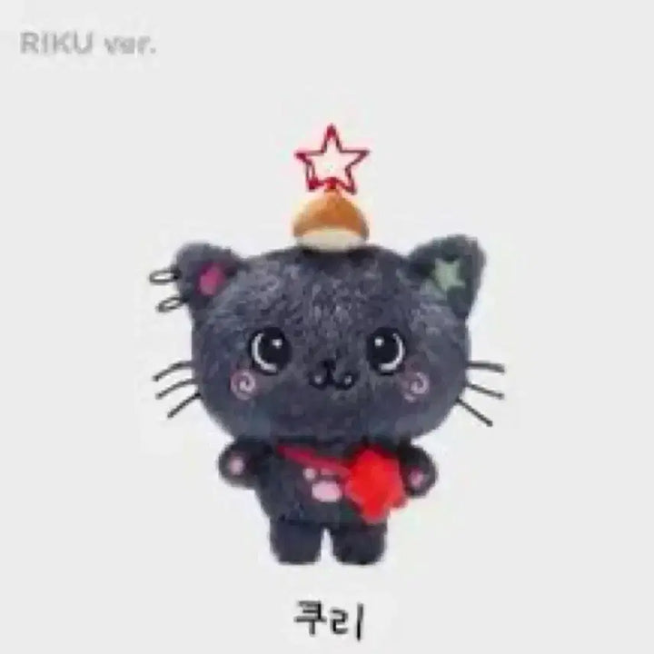 [BUNJANG] Wish Bakery Prince Wish Doll Bubble Cat / 위시돌 쿠리 위시베이커리 nct wish 오리지널 쿠리