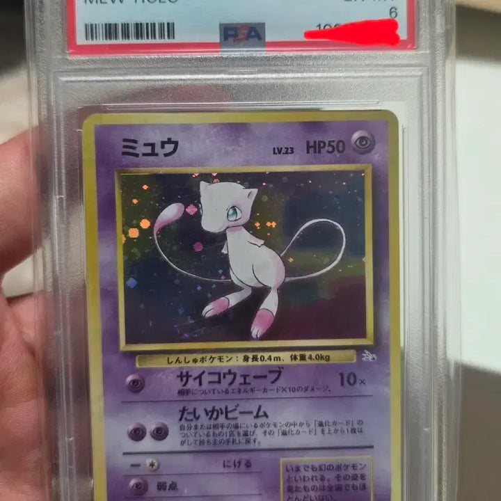 [BUNJANG] Mew Holo PSA 6 Graded Pokemon Card / 뮤 초판 psa6 등급 팝니다.