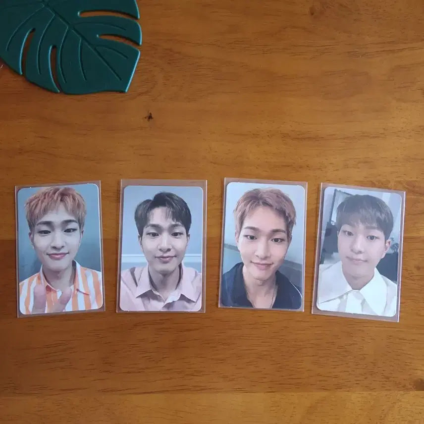 [BUNJANG] SHINee 6th Album Onew Photocard / 샤이니 6집 온유 포카 모음