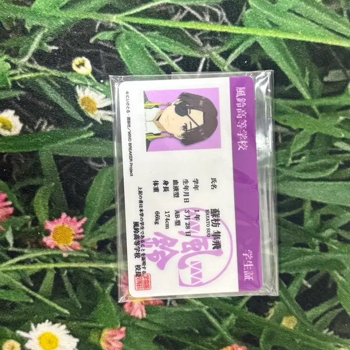 [SOLD OUT] 윈드브레이커) 일괄 스오하야토 아크릴 학생증 아크릴스탠드,아크링 키링