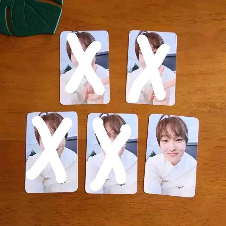 [SOLD OUT] 샤이니 온유 터프럽 특전포카