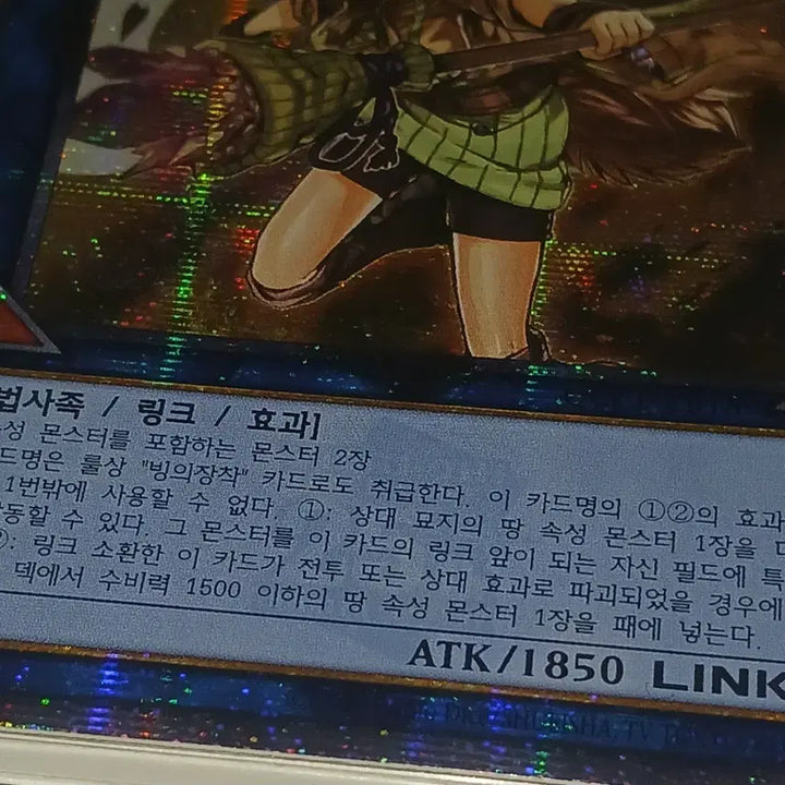 [BUNJANG] Yu-Gi-Oh! Commander&