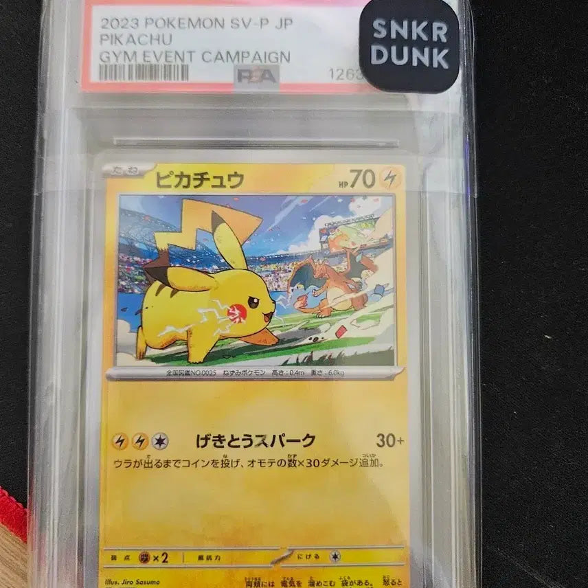 [BUNJANG] Pokemon Pikachu Gym Promo 2023 PSA 9 Graded Card / 포켓몬 피카츄 짐프로모 2023년 psa 9