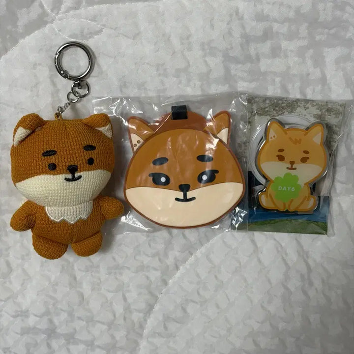 [SOLD OUT] 데이식스 케 일괄