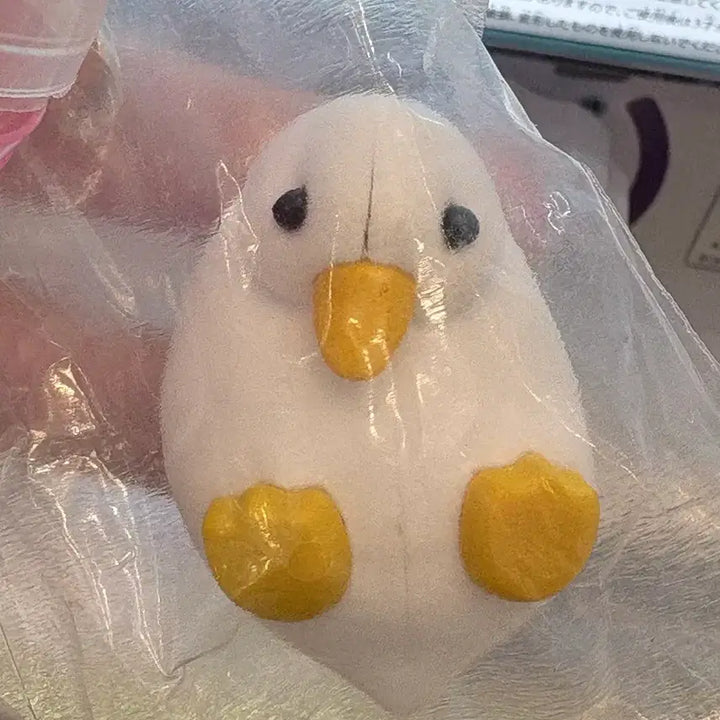 [BUNJANG] Japanese Duck Gacha Figure / 일본 오리 플로키 피규어 가챠