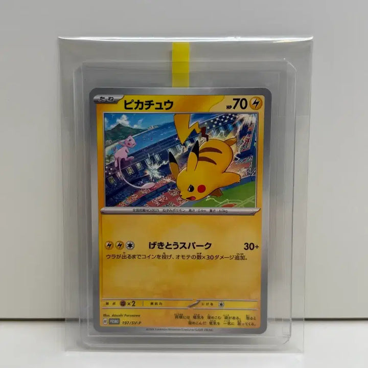 [BUNJANG] Pokemon Card Pikachu Gym Promo Graded / 포켓몬카드 피카츄 짐프로모 등급용