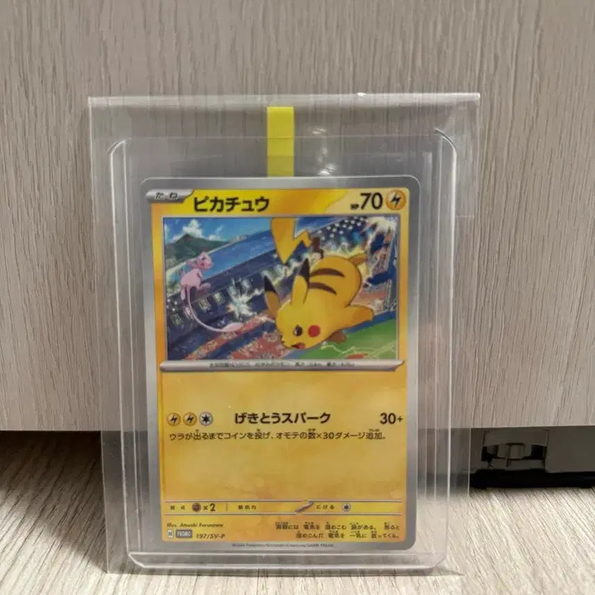 [BUNJANG] Pokemon Card Pikachu Gym Promo Graded / 포켓몬카드 피카츄 짐프로모 등급용