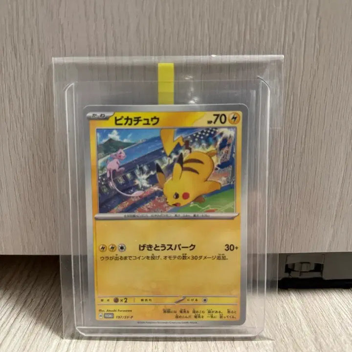 [BUNJANG] Pokemon Card Pikachu Gym Promo Graded / 포켓몬카드 피카츄 짐프로모 등급용