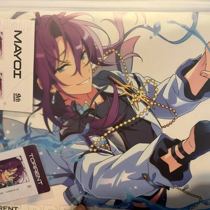 [BUNJANG] Ensemble Stars! Chu-ya 9th Anniversary Official File Set - Ayase Mayoi / 앙스타 중스타 9주년 알칼 파일 세트 아야세 마요이