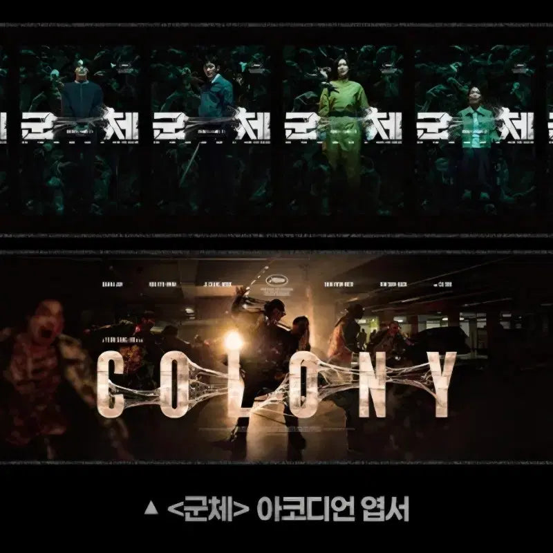 [BUNJANG] Accordion Postcard Set / [군체] 아코디언 엽서