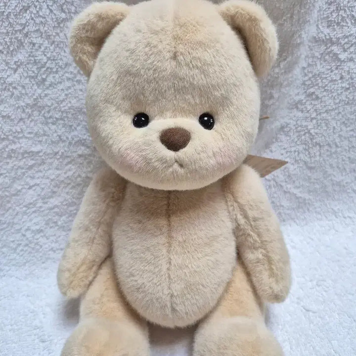 [BUNJANG] Teddy Tales Lena Bear Short Fur Milk Tea M Size 30cm / (새상품)테디테일즈 레나베어 단모 밀크티 M사이즈 30cm