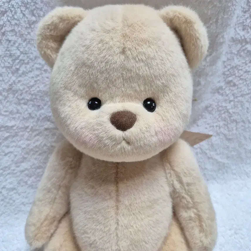 [BUNJANG] Teddy Tales Lena Bear Short Fur Milk Tea M Size 30cm / (새상품)테디테일즈 레나베어 단모 밀크티 M사이즈 30cm
