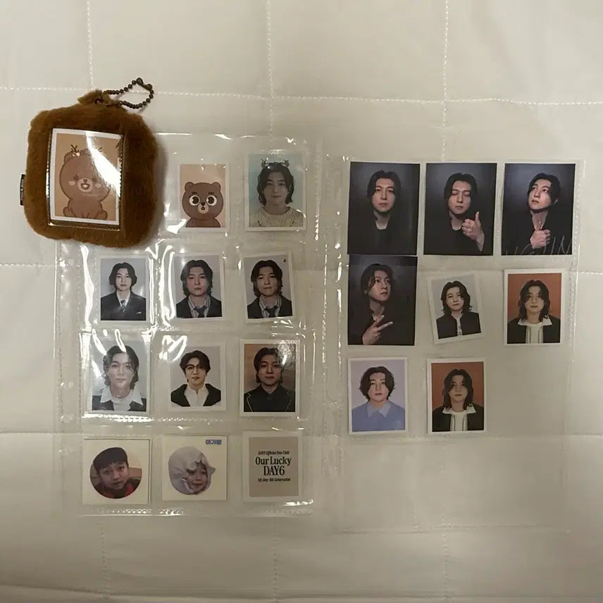 [BUNJANG] Day6 Young K ID Photoholder Bundle Set / 데이식스 쁘띠멀즈 방 증사 아이디 포토홀더
