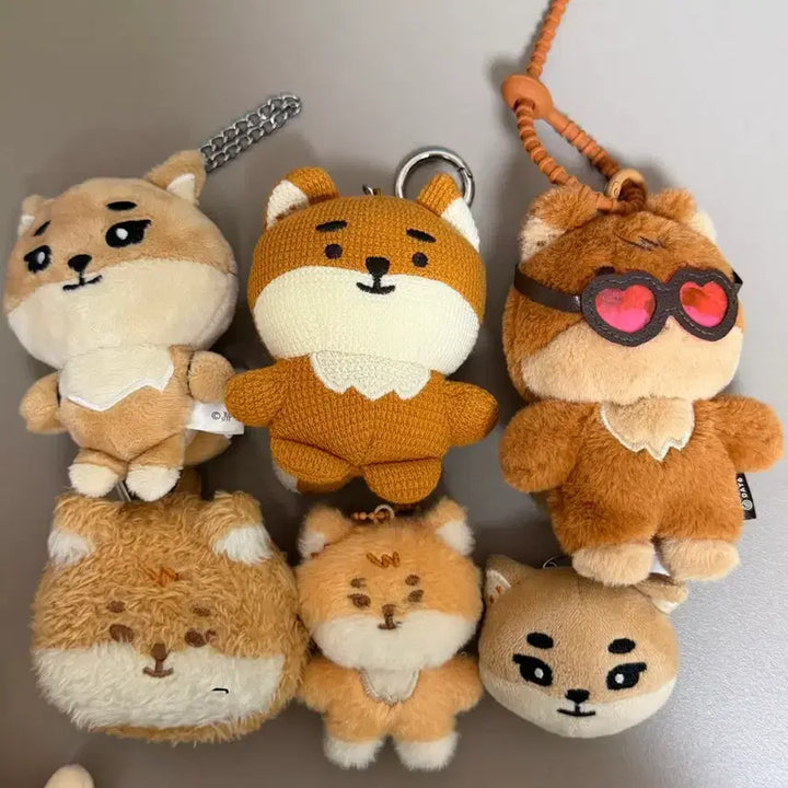 [BUNJANG] DAY6 Young K K-MD Bundle Set / 데이식스 영케이 케 엠디 양도