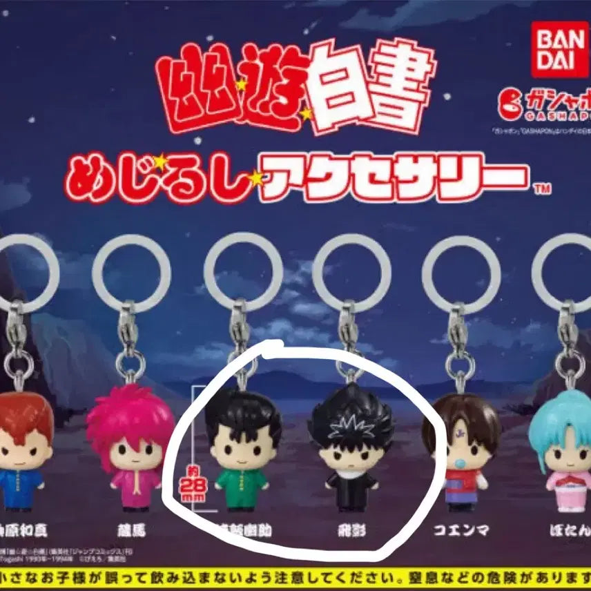 [BUNJANG] Yu Yu Hakusho Medallion Keyring Set - Yusuke &amp; Hiei / 유유백서 메지루시 키링 유스케 히에이 일괄 양도