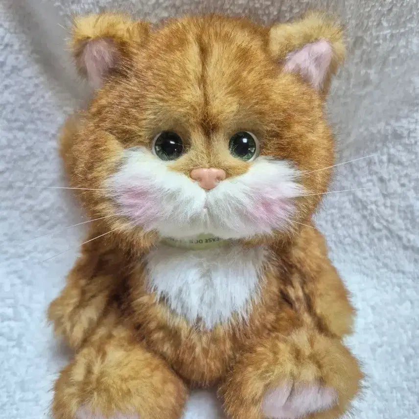 [BUNJANG] Teddy Tales RenaCat Cheese Cat 20cm Plush / (새상품)테디테일즈 레나캣 치즈고양이 s사이즈 20cm