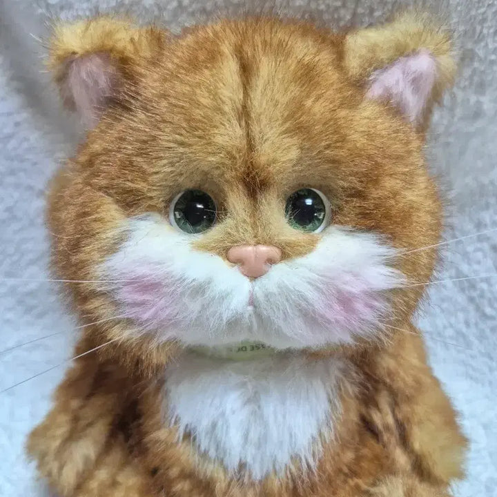 [BUNJANG] Teddy Tails Lena Cat Cheese Cat 20cm Plush Toy / (새상품)테디테일즈 레나캣 치즈고양이 s사이즈 20cm