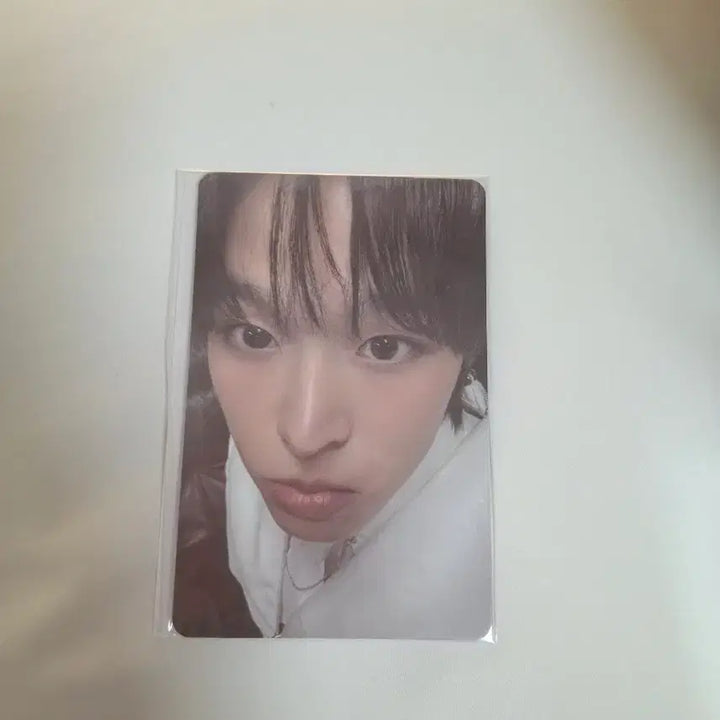 [BUNJANG] NCT WISH KuriiNiiNii Photocard / NCT WISH 쿠리니니 포카