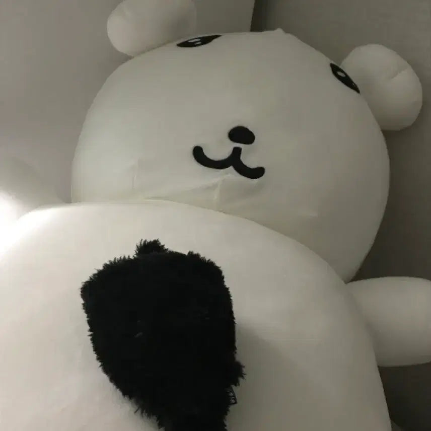 [BUNJANG] NCT WISH Yushi Wish Doll Bubble Cat Secret Black / 엔시티 위시 버블냥 유우시 위시돌 컬러돌 시크릿 블랙