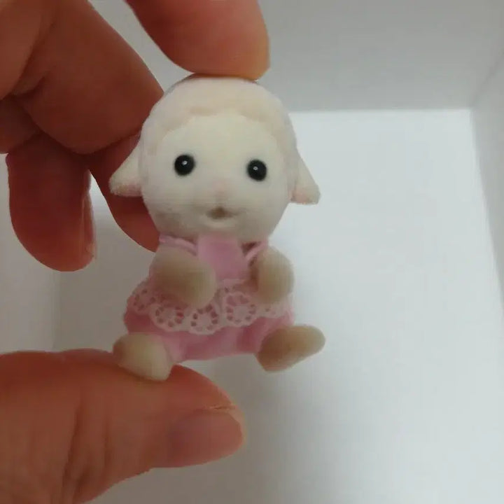 [BUNJANG] Sylvanian Families Baby Sheep / 실바니안 아기양
