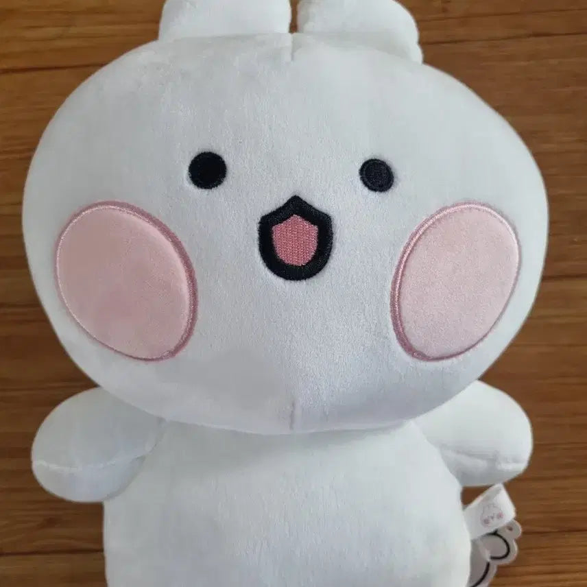 [BUNJANG] Gomdoljjang Rabbit M Plush / 곰돌찡토끼찡 M 토끼찡 인형