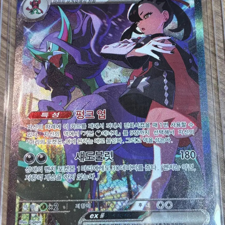 [BUNJANG] Pokemon Card Morpeko SAR / 포켓몬카드 마리의 오롱털 sar