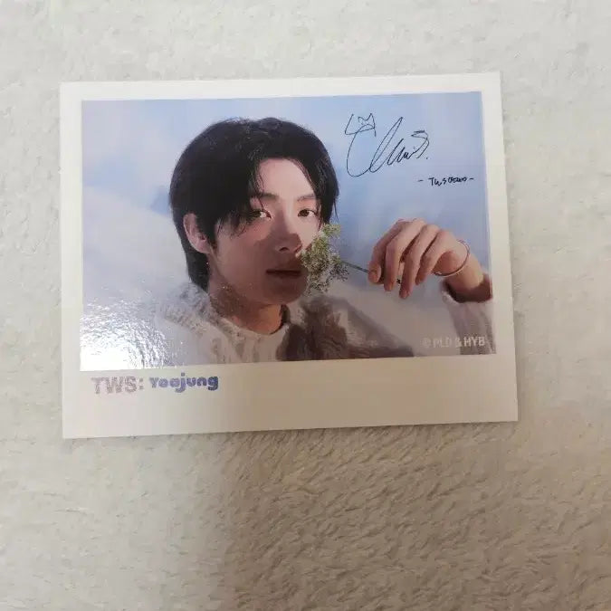[BUNJANG] TWS Youngjae Yoajeong Polaroids / 투어스 영재 요아정 폴라 팔아요
