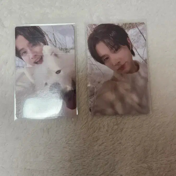[BUNJANG] TWS Last Bell Compact Kyungmin Photocard / 포카 포함)투어스 Last Bell 컴팩트 경민 팔아요