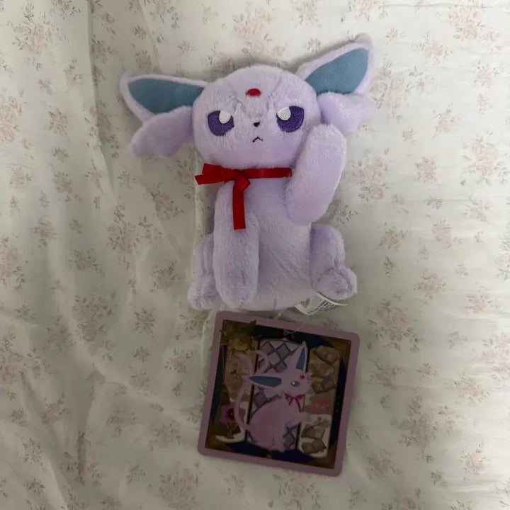 [BUNJANG] Pokemon Eevee Collection Eevee Plush / 포켓몬스터 이브이 콜렉션 하이파이브 에브이 인형