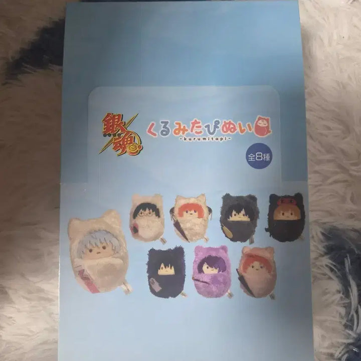 [BUNJANG] Gintama Tapinui Set / 은혼 타피누이 풀박