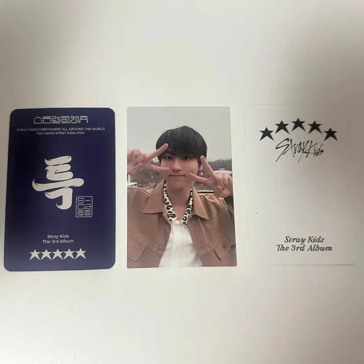 [BUNJANG] Stray Kids Han Photocard Bundle Set / 스키즈 한 포카 양도